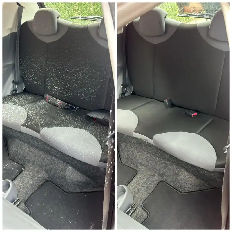 Schimmel verwijdering auto stoel - professionele reiniging