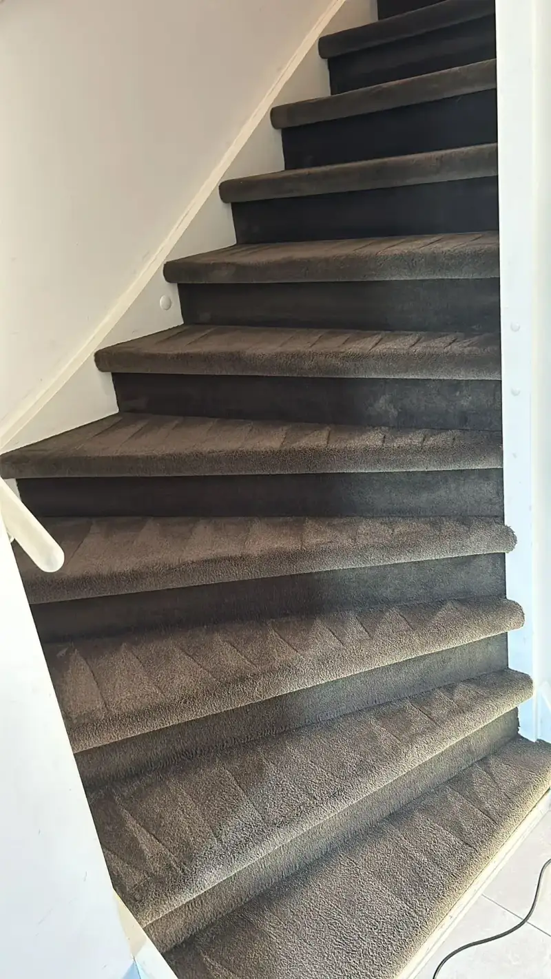 Trap tapijt reiniging - schoon en fris resultaat